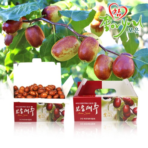 쿠팡! | 2019 햇 보은 황토 생 대추 1kg 가정용 (28mm) 2019 햇 보은 황토 생 대추 1kg 가정용 (28mm)