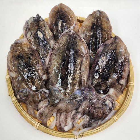 수산잇츠 갑오징어 6미, 2개, 약500g