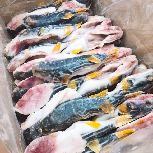 식당업소용 냉동복어(까치복) 15kg 박스 300-500사이즈 약45마리 깔끔손질유독제거
