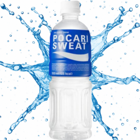 시원하고 상쾌한 이온음료 포카리스웨트 500ml, 76개, 500ml