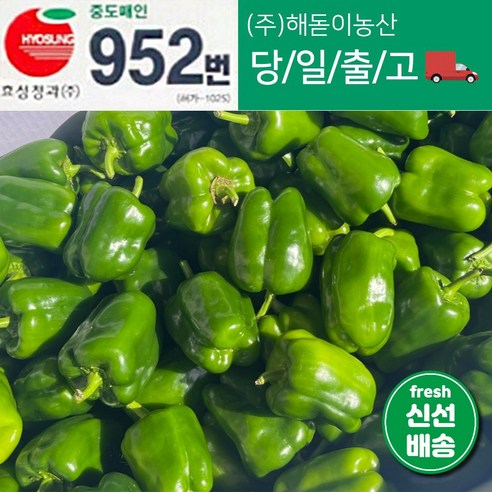 <해돋이농산> 국내산 못난이피망 초록피망 청피망 1kg 3kg 5kg 10kg