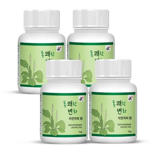 통쾌한 변화 차전자피환