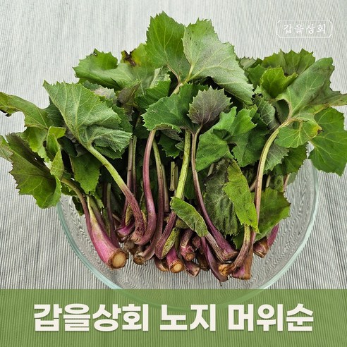 [갑을상회] 노지 머위순 하동 광양 머위 새순 머구