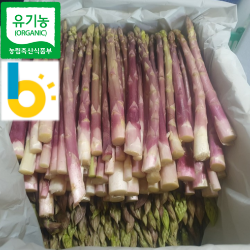 [국내유일 9brix] 유기농 못난이 국산 국내산 생 자색 아스파라거스 벌크 대용량