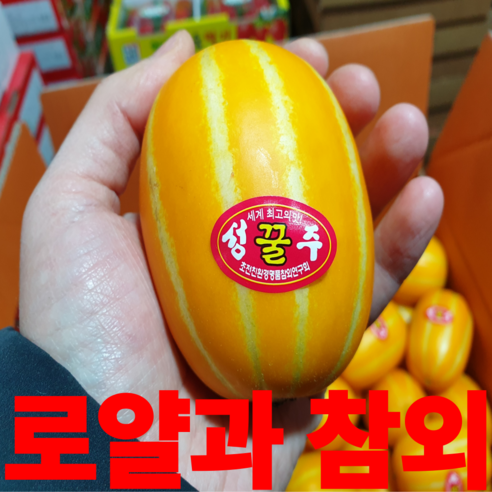 성주 참외 정품 로얄과 선물용