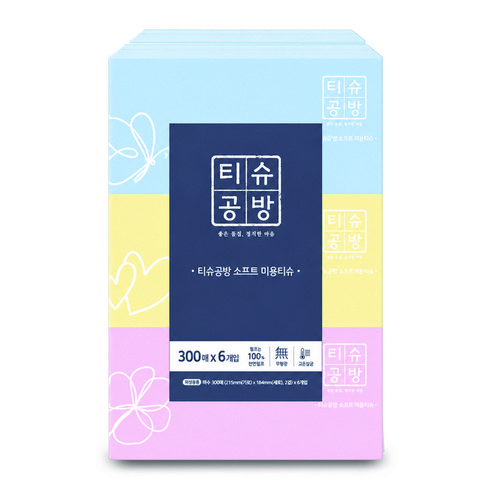 티슈공방 소프트 미용티슈 2겹, 6개, 300매