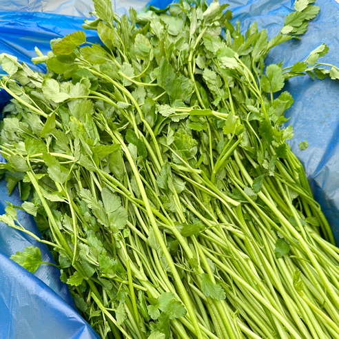 대아프레시 야채 아저씨네 국내산 향긋한 신선 채소 미나리 300g 500g 1kg 2kg 4kg, 1박스, 1kg