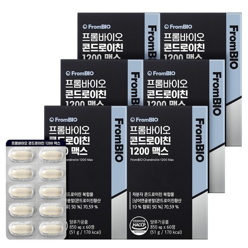 [본품기획세트] 프롬바이오 콘드로이친 1200 맥스 + 매스틱 2포 글루코사민 소연골 상어연골, 60정, 6박스