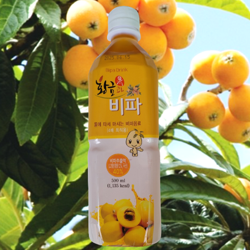 황금과비파 4배농축주스 500ml 1병 2병 3병 20병 선물용 비타민주스, 500ml