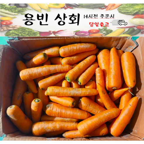 ( 용빈 상회 ) 국내산 당근 요리용 쥬스용 못난이상품 3kg 5kg 10kg 20kg내외(상세페이지 상단참고)