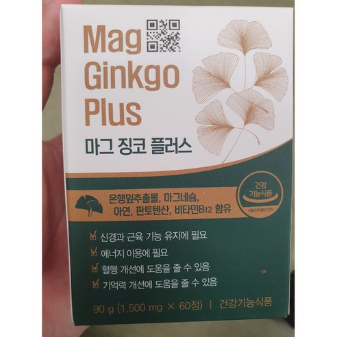 마그 징코 플러스 은행잎추출물 마그네슘 아연 비타민B12 혈행 신경 근육 영양제