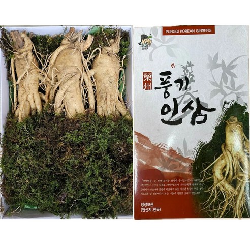 6년근 풍기인삼 특왕대 사이즈 3-5뿌리 고급선물세트 종이상자 이끼포장 한보인삼사, 750g, 1세트