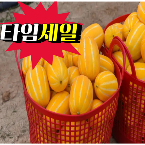 <품담> 특별할인!! 산지직송 아삭하고 달콤함이 가득한 성주 참외