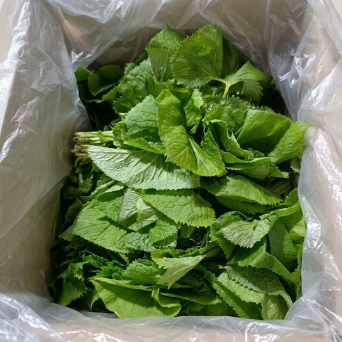 강원도 산지직송 국내산 유기농 곰취 나물, 1박스, 1kg