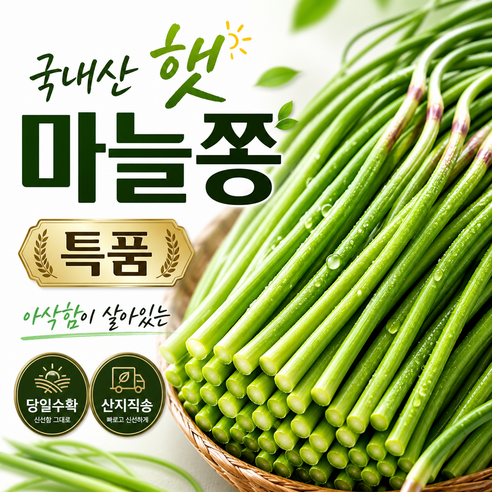 [더밭 한정특가] 국내산 햇 마늘쫑 특품 2026년 첫수확 아삭한 당일수확 신선직송