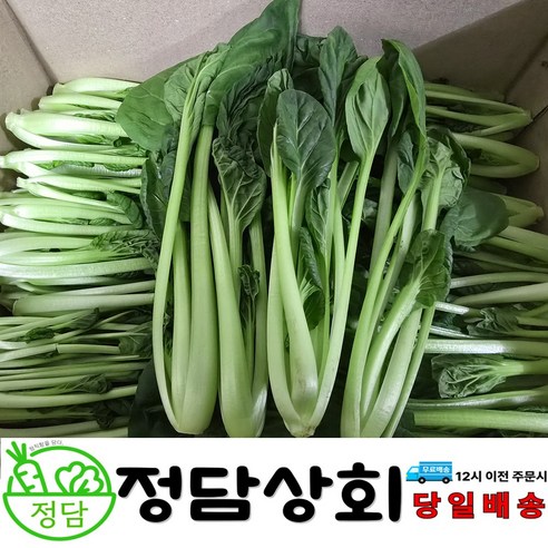 [ 정담상회 ] 국내산 비타민채 비타민채소 다채 이유식용 2kg내외