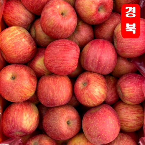 [타임특가] 오씨농장 고당도 국내산 부사 사과