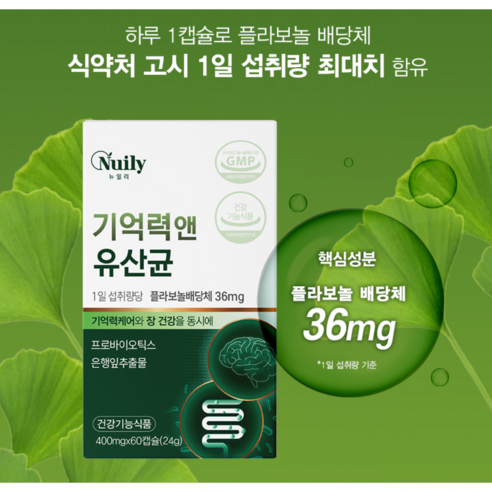 뉴일리 기억력앤유산균 기억력개선  은행잎추출물 36mg 프로바이오틱스 1억 CFU 장건강 띵스팟