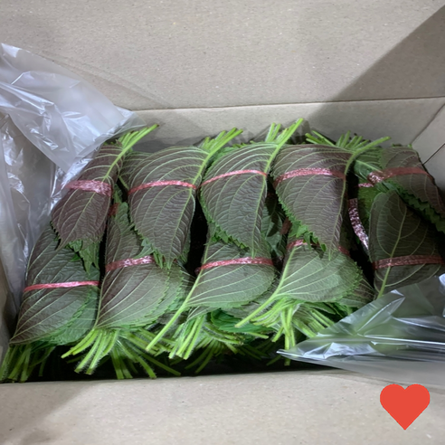 국내산 깻잎 국내재배 새벽경매