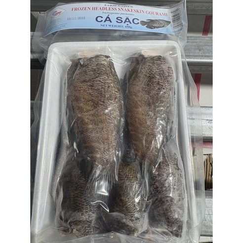 구라미 등목어목 붕어 냉동 gurimi fish casac headless snakeskin gourami