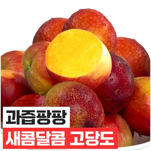 푸드지 산지직송 아삭 새콤달콤 천도복숭아