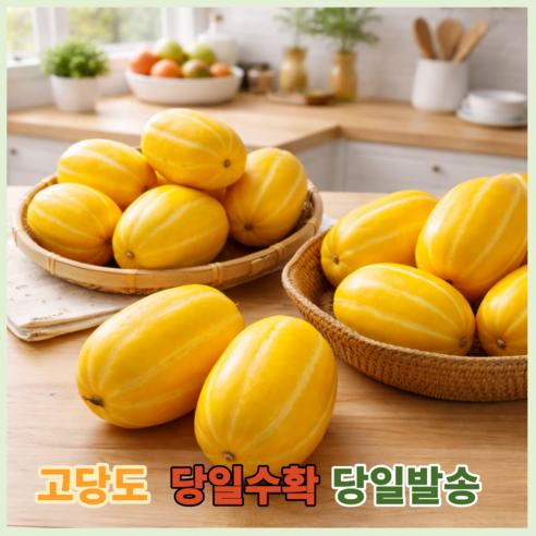 당일수확 성주 정품 꿀참외 고당도보장,, 산지직송, 1박스, 정품5kg(15~20과 내외)중과
