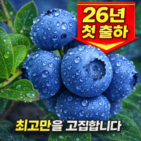 [프리미엄] 고당도 국산 생 블루베리