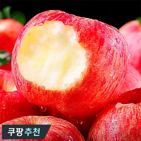 [쿠팡추천] 청송사과축제 1등 백화점납품용 부사사과