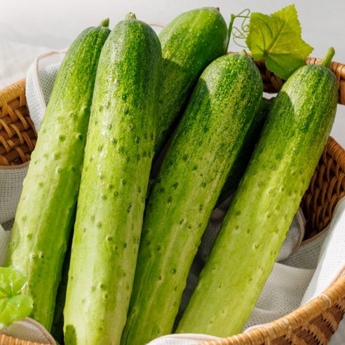 [당일수확] 아삭한 국산 오이 백오이, 1개, 10kg