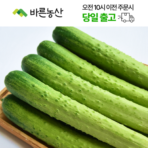 < 바른농산 > 국내산 오이 다다기오이 백오이 (특품)
