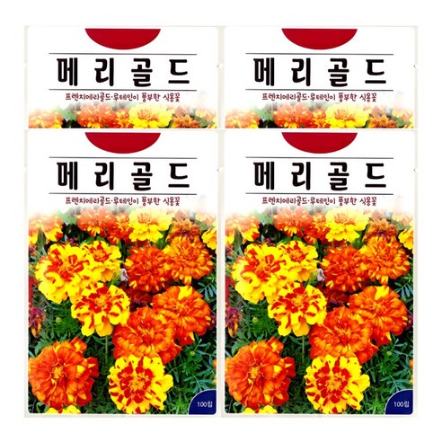 KS종묘 메리골드 100립 루테인 홀꽃 식용꽃 일년생 꽃씨 씨앗 종자, 4개