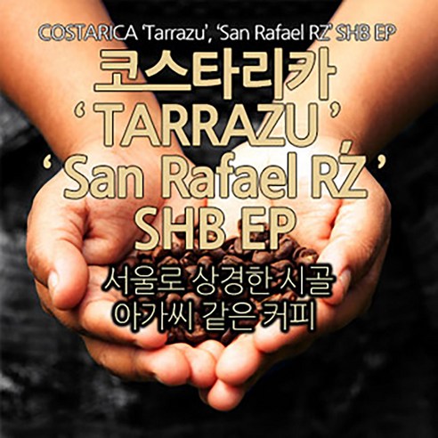 코스타리카 Tarrazu