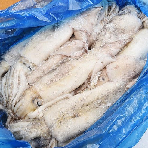 쿠팡! | (주)푸드마을 냉동오징어 중국산 (주)푸드마을 냉동오징어 중국산