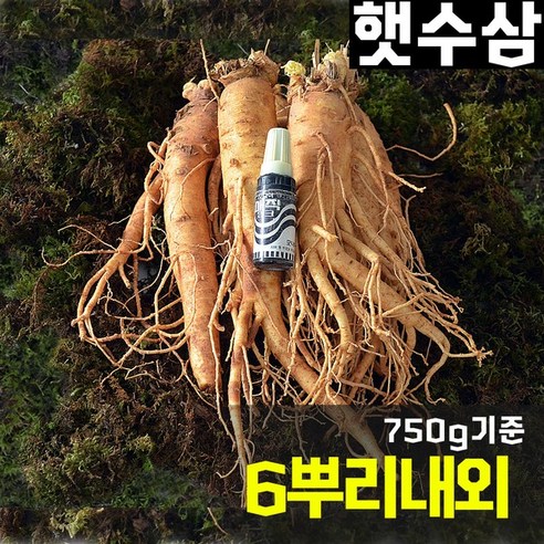 쿠팡! | 금산 6년근 금산인삼 수삼 난발삼 인삼 금산 6년근 금산인삼 수삼 난발삼 인삼