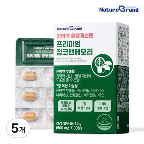 네이처그랜드 프리미엄 징코 메모리 1개월분 기억력개선 은행잎추출물, 5개, 30정