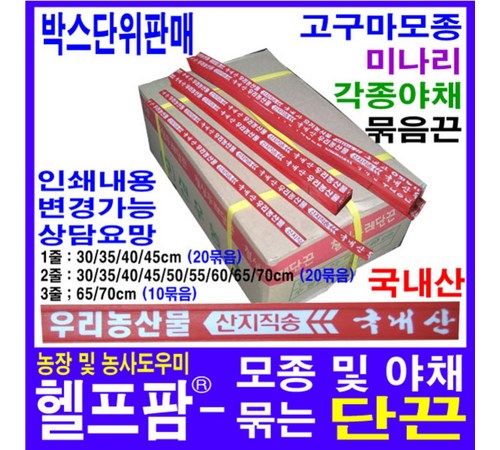 맛있는 고구마 수확을 위한 첫걸음 고구마 모종 심기