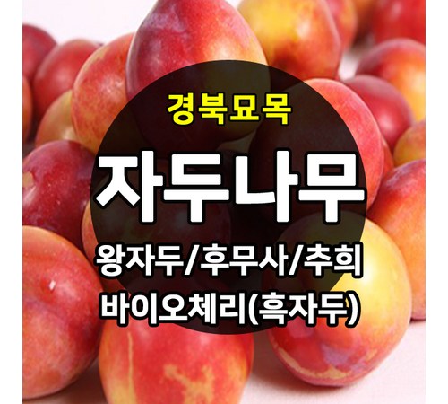 건강한 단맛, 자두홍무사로 혈당 관리하기