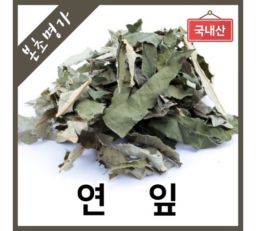 연뿌리 이미지1