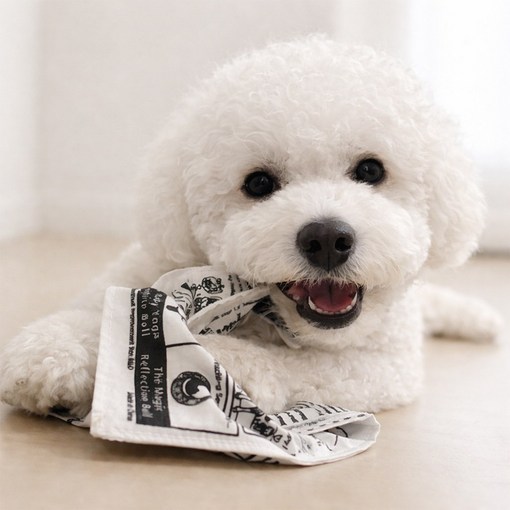 잘샀지 바스락 소리나는 강아지 신문책 혼자놀기 장난감