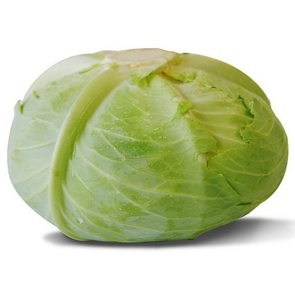 592be327919097f4784a60d40889be4b09e04c38af31b0919f83d077b90a.jpg
