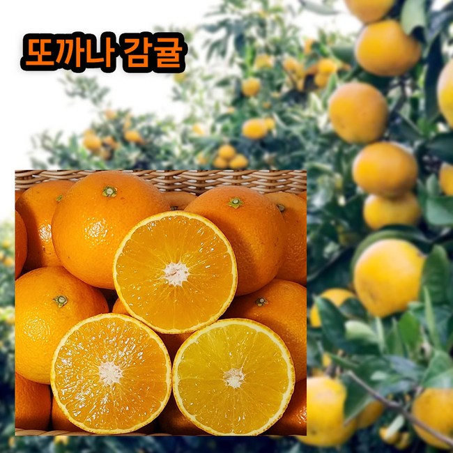 327c7e6539dc8a0effd1ab6f7d519ea1d5fdb1d18da235a3ce14ba68538c.jpg