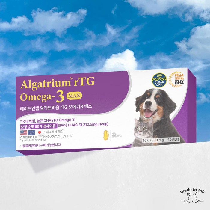 미국 유럽 일본 특허 강아지 고양이 rTG 오메가3 메이드인랩 알가트리움 맥스, 1팩, 오메가3, 40정