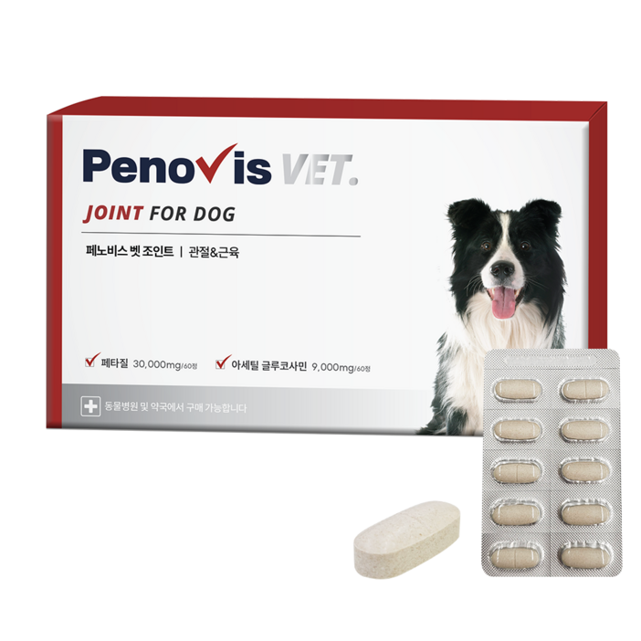 페노비스벳 강아지 관절 영양제 60정 48g, 페타질, 1개, 뼈관절강화