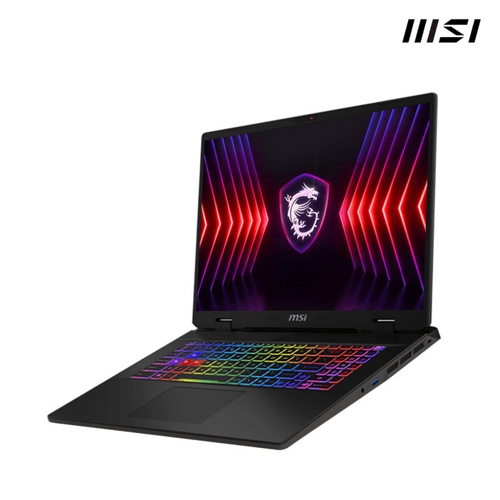 MSI Sword 17 HX B13VGKG-i9 윈도우11 QHD 인텔 i9 13980HX RTX 4070, B13VGKG-i9, WIN11 Home, 32GB, 1TB, 블랙