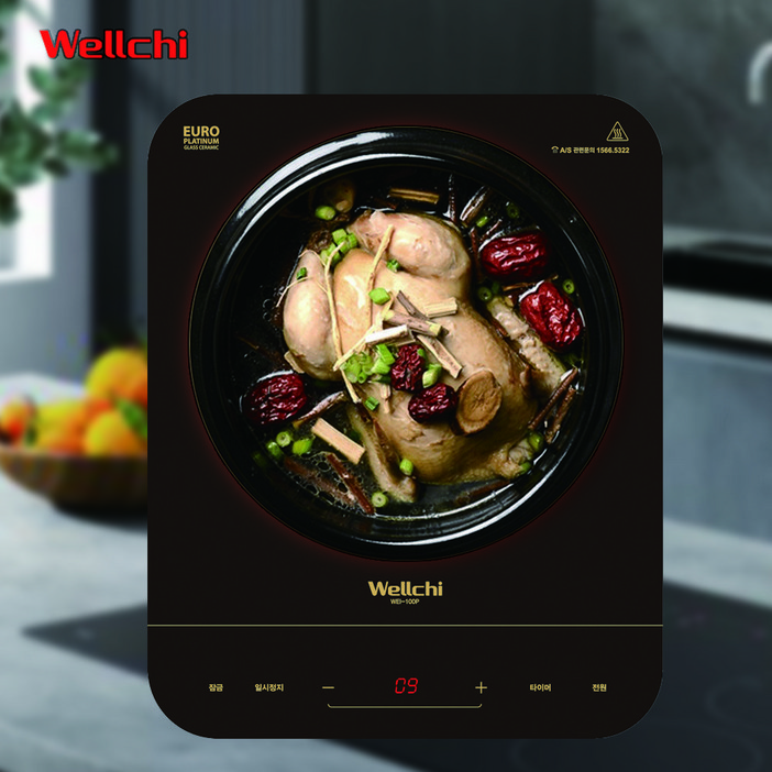 웰치 1구 인덕션 이동식 프리스탠딩 휴대용 전기레인지 전기렌지 캠핑 WEI-100PN