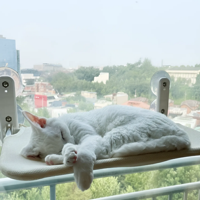 콩냥팥냥 완제품 대형 사이즈 고양이 창문 해먹  접이식 해먹 흡착해먹
