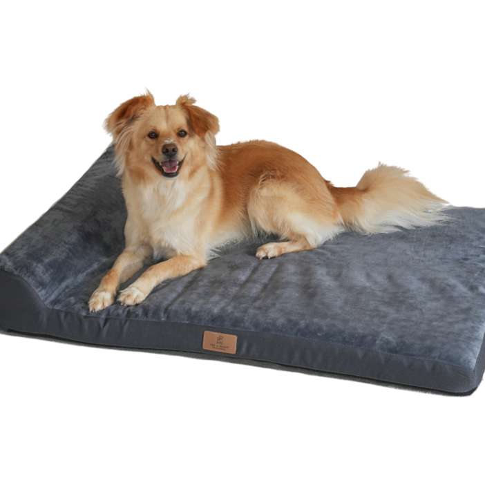 피치가든 대형견 극세사 커버분리 베개 사각방석 02 L2XL, 진그레이, 1개