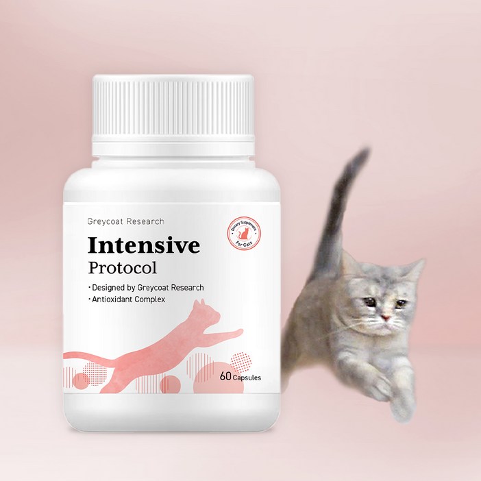 야옹섬 인텐시브 프로토콜 신부전 고양이 신장 항산화제 항노화 영양제, 60정, 신장, 1개