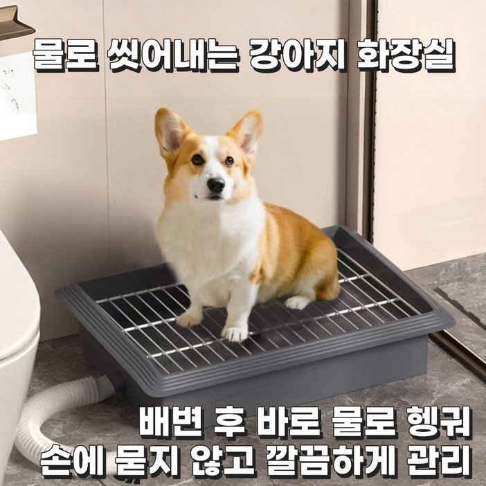 코코 강아지 배변판 반려견 화장실 배수형 물세척 가능 실내 배변훈련 소형견 중형견 배변판