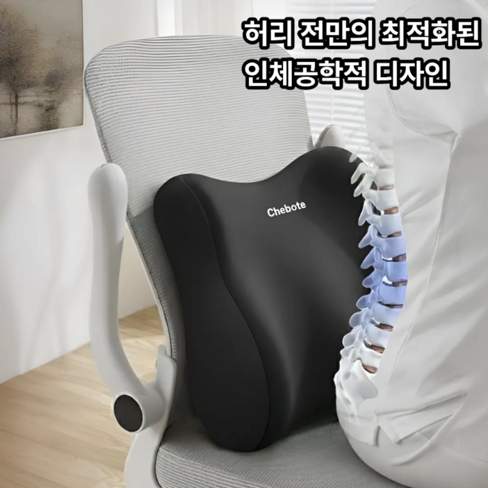 슈레보 사무실 허리전만 지지 등받이 허리 쿠션